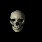 Skull.gif (10526 bytes)